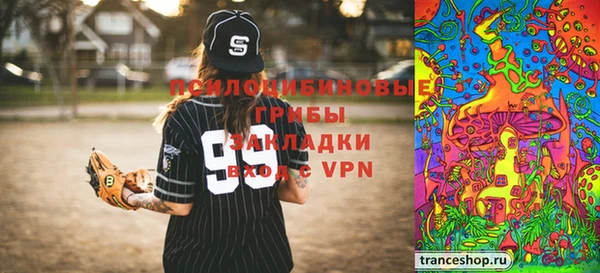 не бодяженный Бердск
